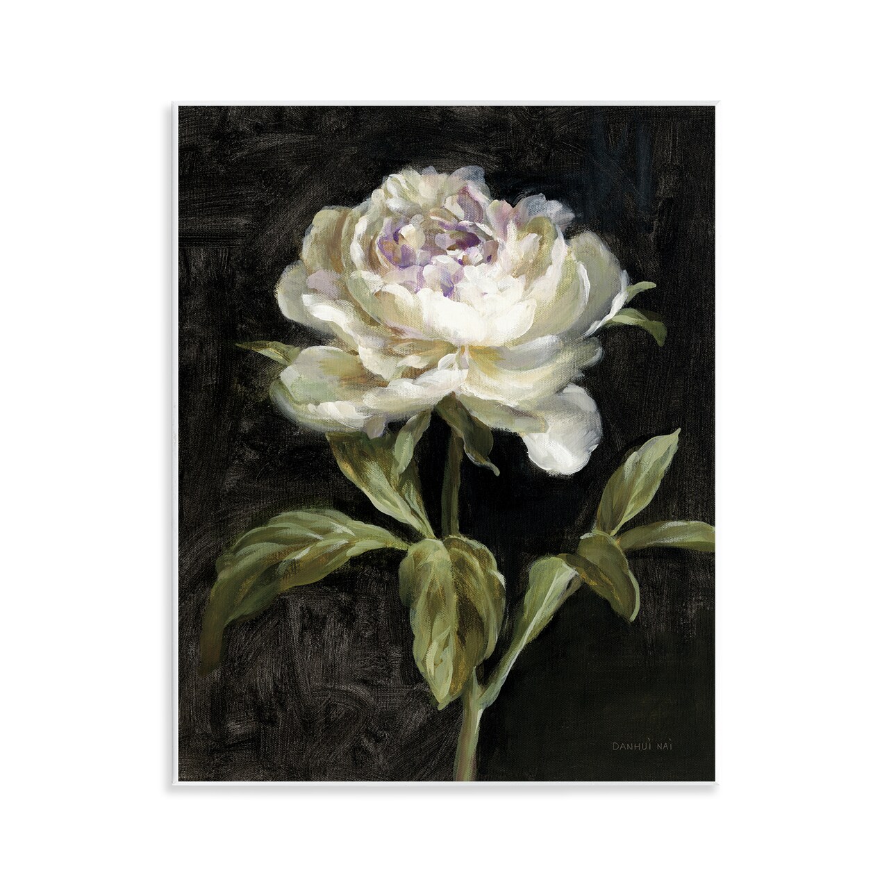 Stupell Industries Peony on Black Wall Plaque Art Design by Danhui Nai